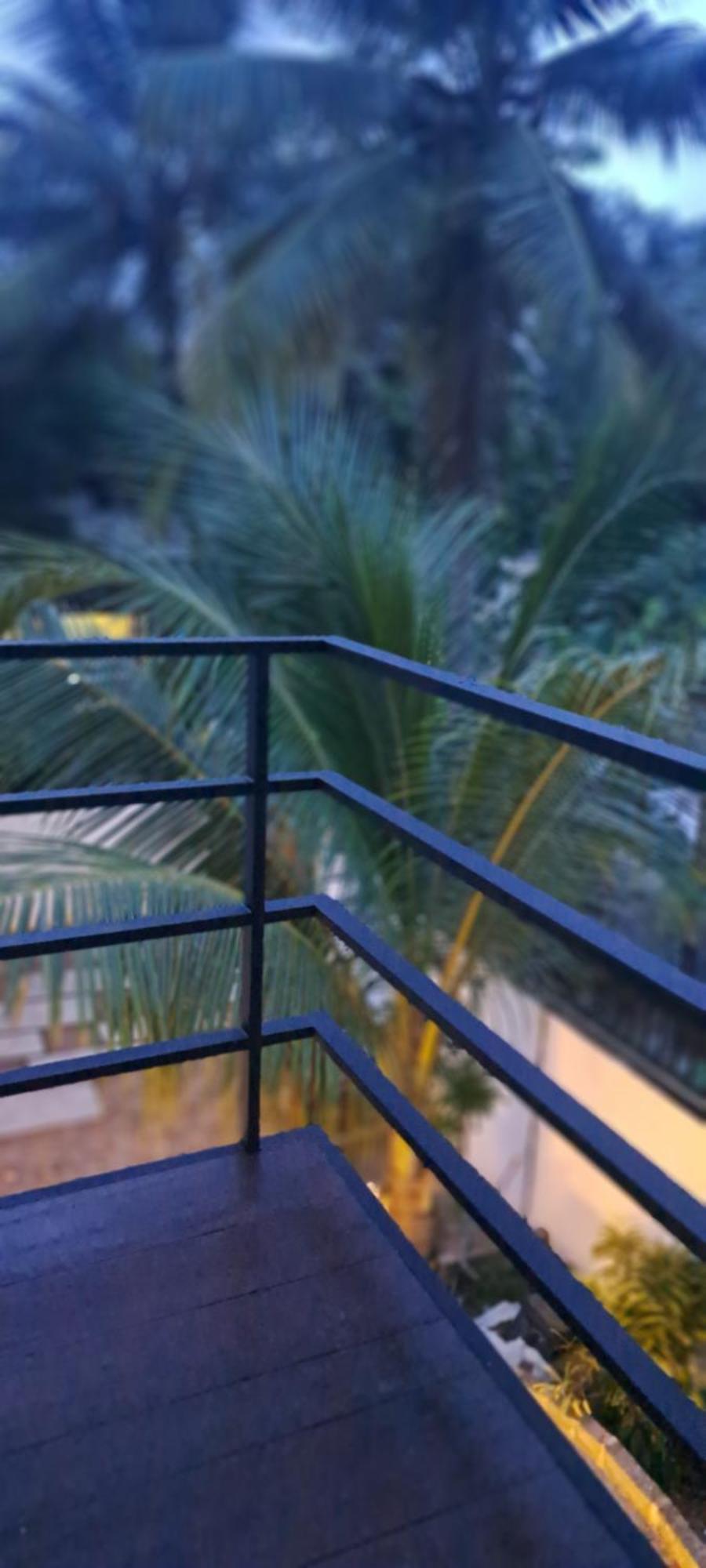 Cactus Surf Otel Ahangama Dış mekan fotoğraf